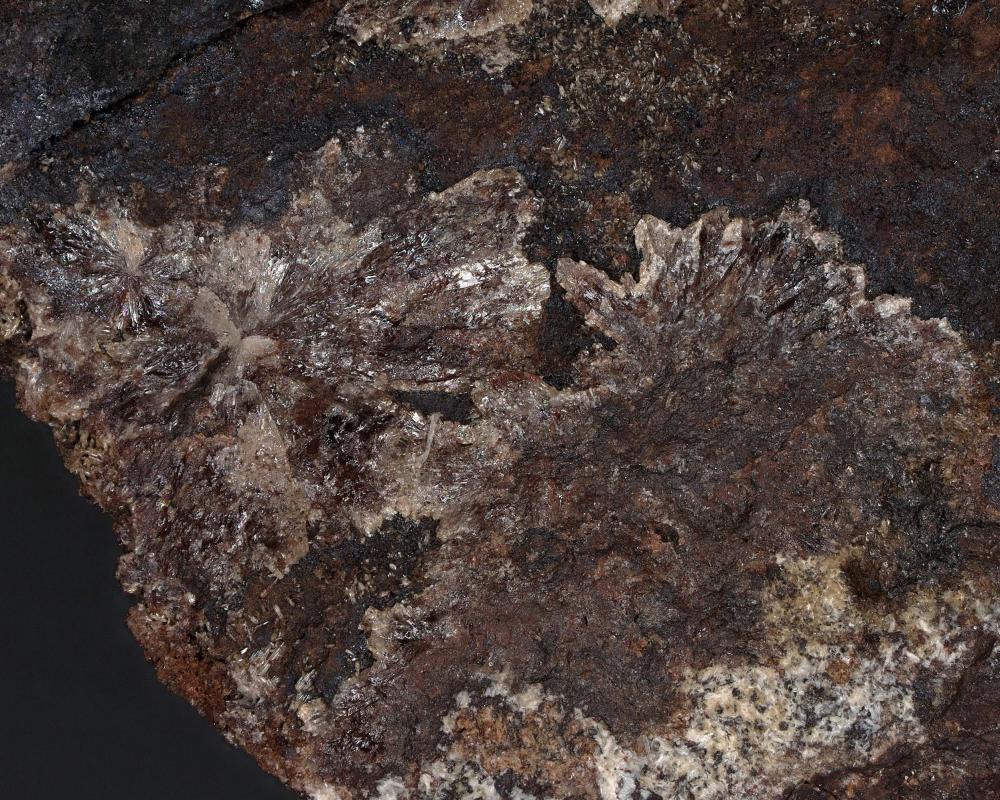Seamanite